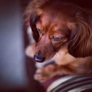 Meet your Posher, Ravi